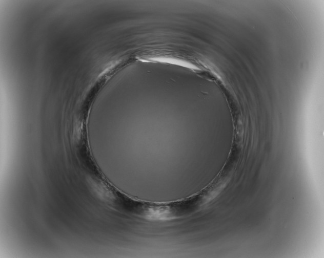 X0000086010355200704091059