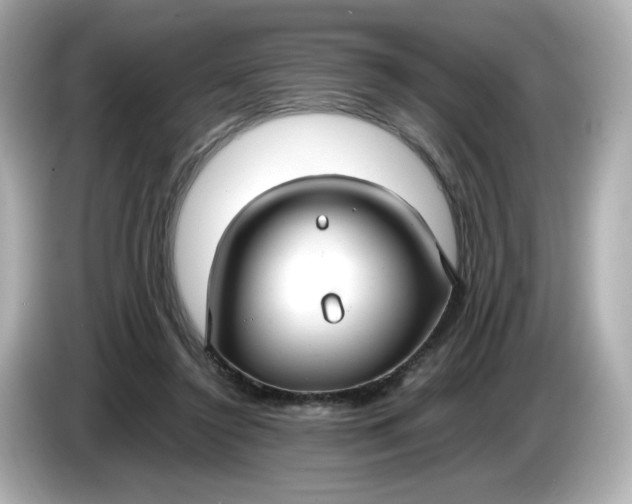 X0000086010356200704091059