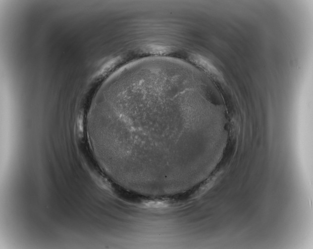 X0000086010358200704091059