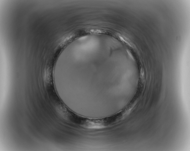 X0000086010359200704091100