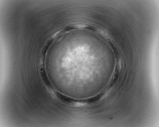 X0000086010360200704091100