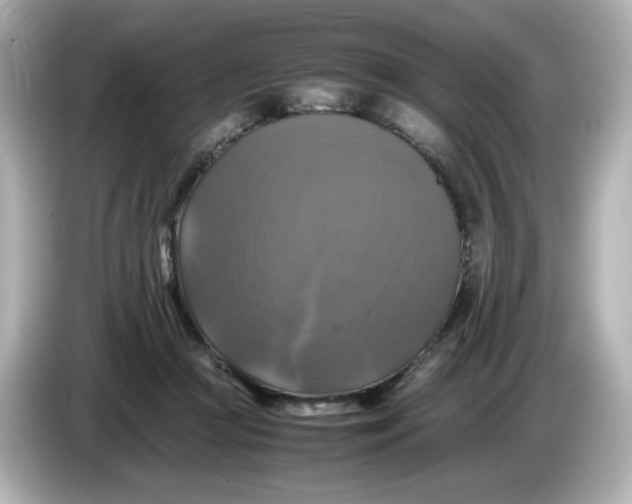 X0000086010361200704091100