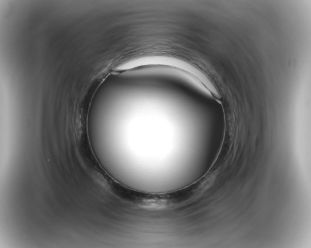 X0000086010362200704091100