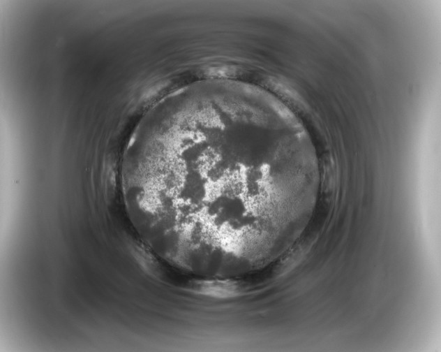 X0000086010363200704091100