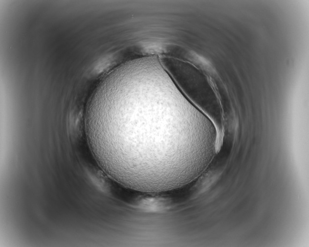 X0000086010364200704091100