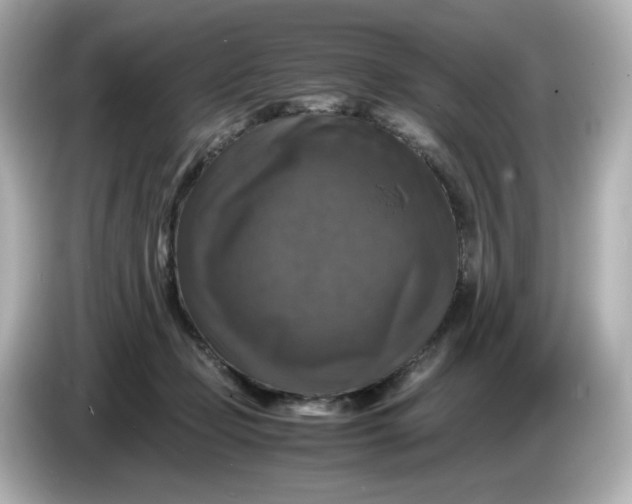 X0000086010365200704091100
