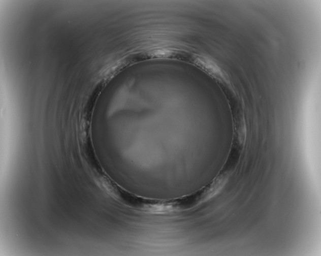 X0000086010366200704091100