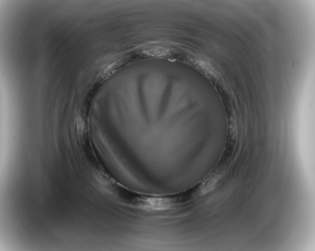 X0000086010371200704091100