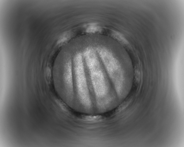 X0000086010375200704091100