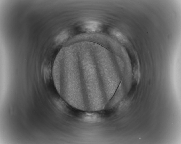 X0000086010376200704091100