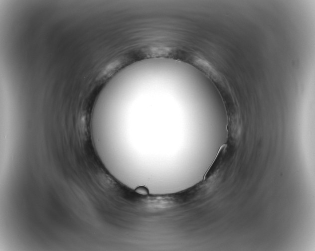 X0000086010378200704091100