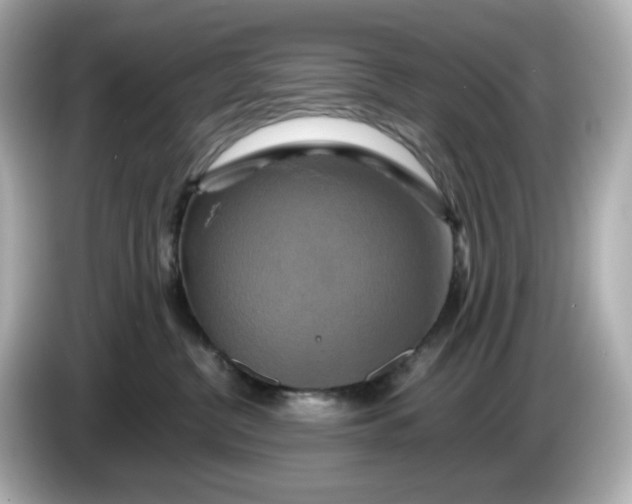 X0000086010380200704091100