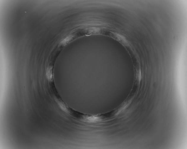 X0000086010383200704091100