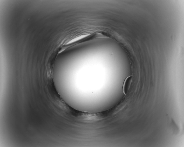 X0000086010384200704091100