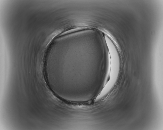 X0000086010385200704091059