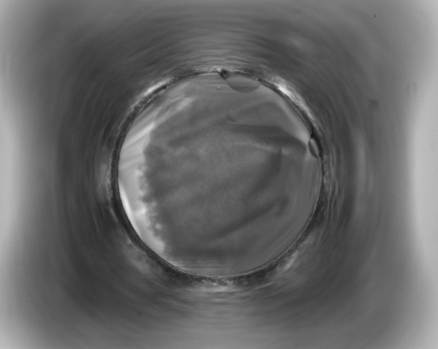 X0000086010386200704091059
