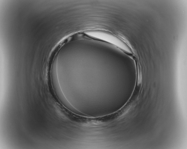 X0000086010387200704091059