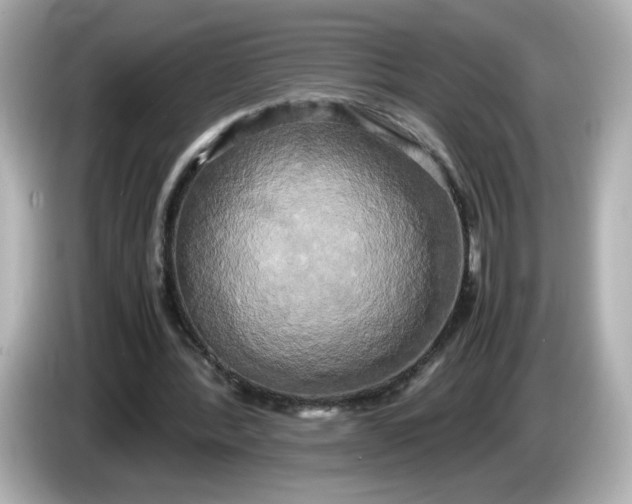X0000086010388200704091059