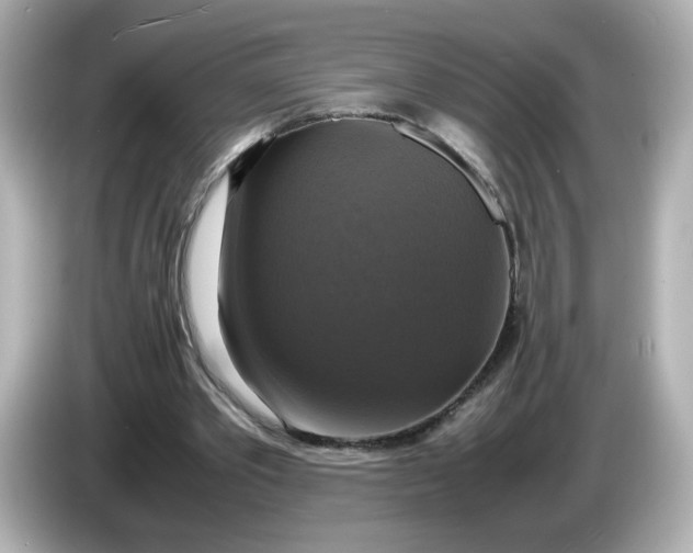 X0000086010389200704091059