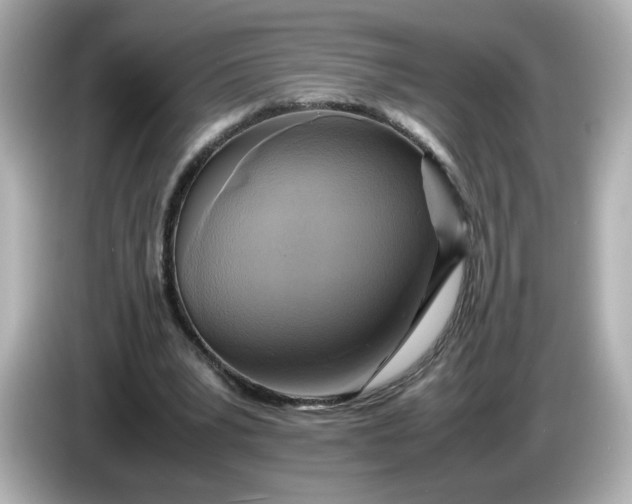 X0000086010391200704091059