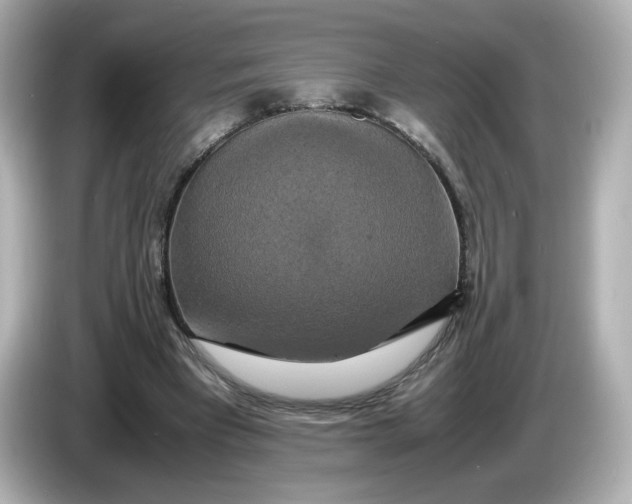 X0000086010393200704091059