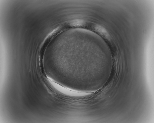 X0000086010400200704091059