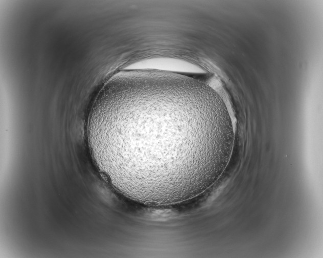 X0000086010401200704091059