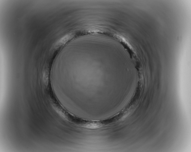 X0000086010402200704091059
