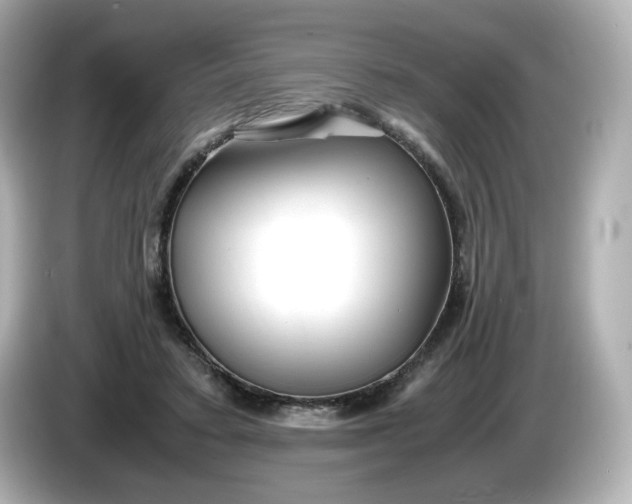 X0000086010403200704091059
