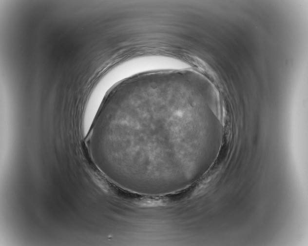 X0000086010405200704091059