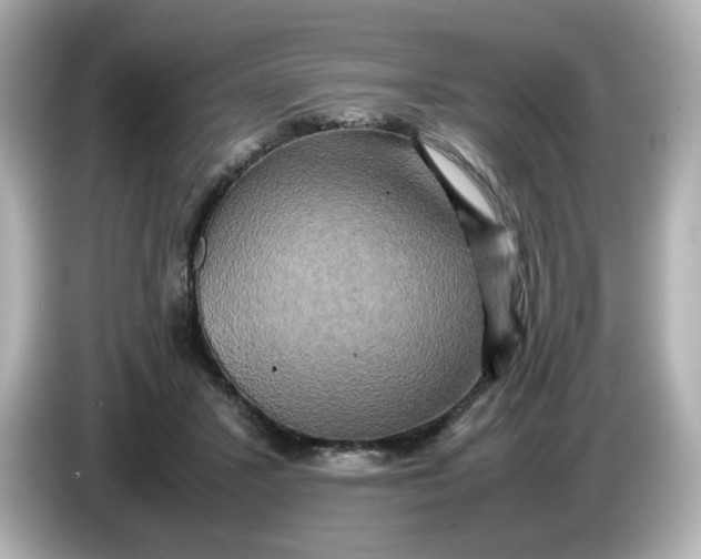 X0000086010407200704091059