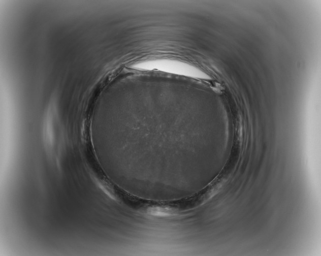 X0000086010408200704091059