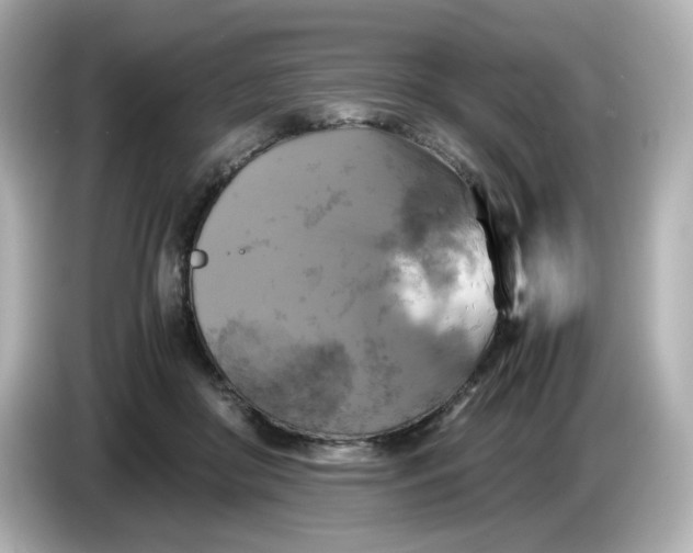 X0000086010410200704091059