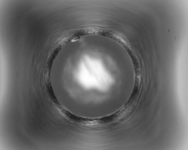 X0000086010411200704091059