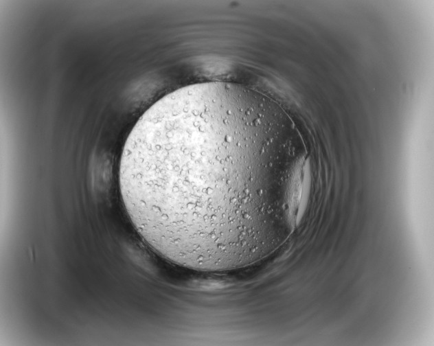 X0000086010412200704091059