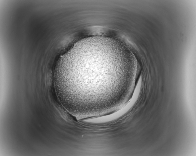 X0000086010413200704091059