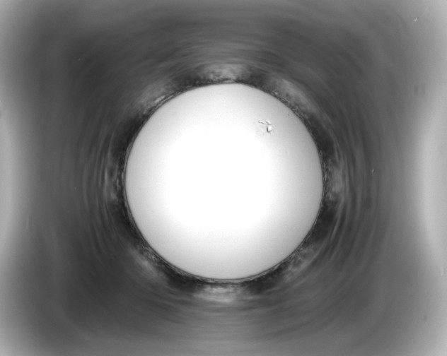 X0000086010414200704091059