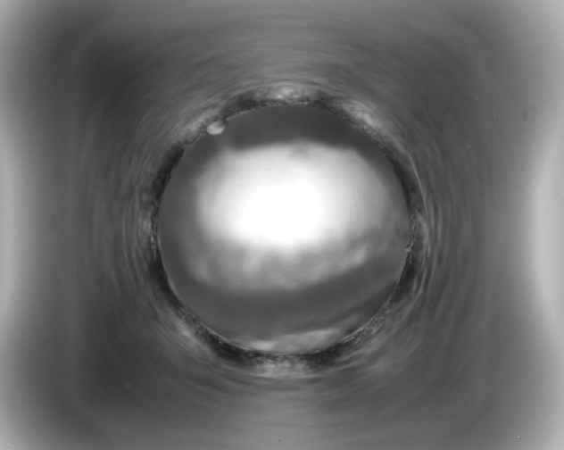 X0000086010415200704091059