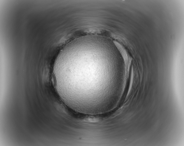 X0000086010416200704091059