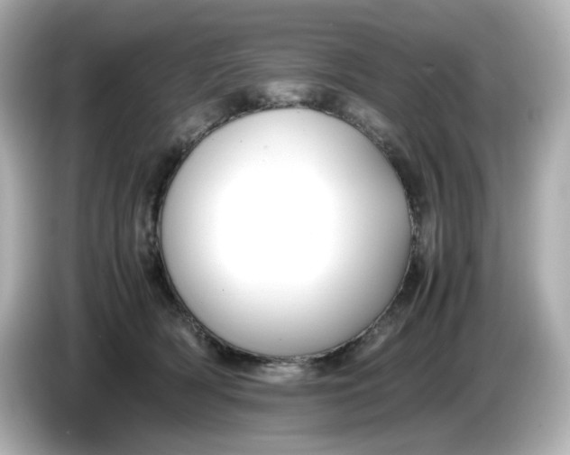 X0000086010418200704091059