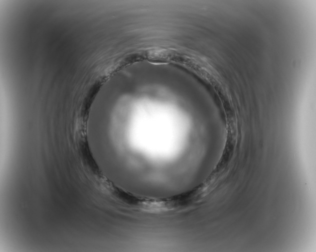 X0000086010419200704091059