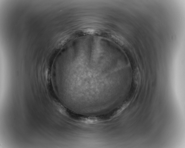 X0000086010420200704091059