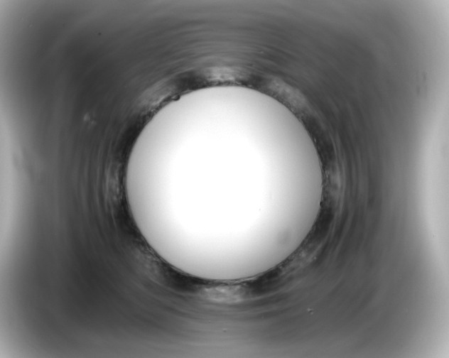 X0000086010422200704091059