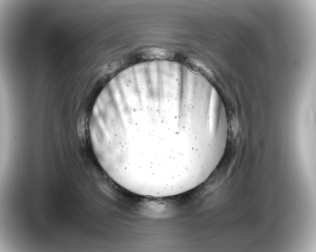 X0000086010423200704091059