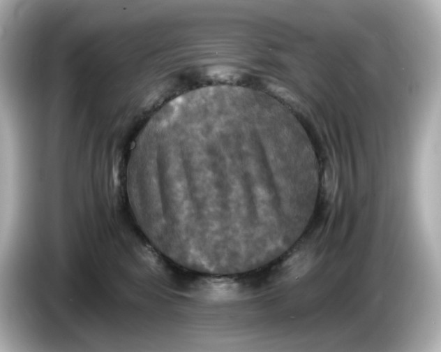 X0000086010424200704091059