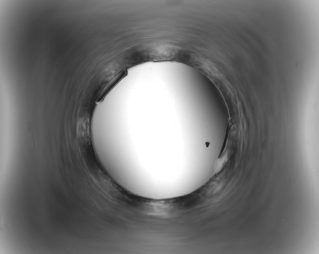 X0000086010425200704091059