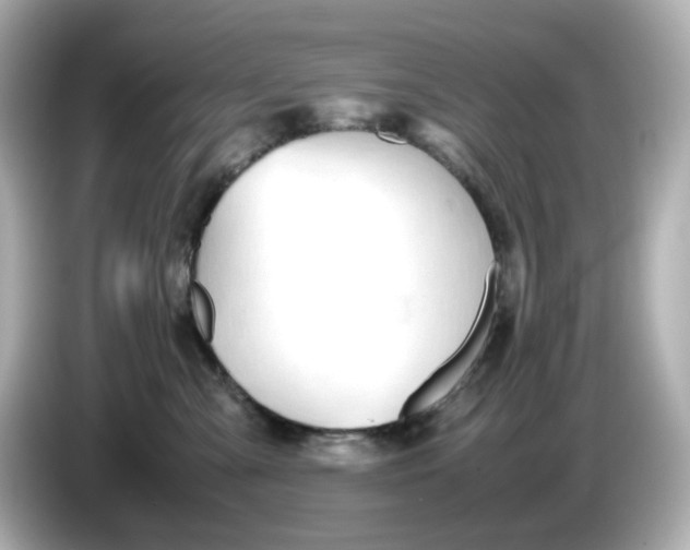 X0000086010427200704091059