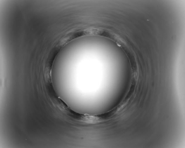 X0000086010429200704091059