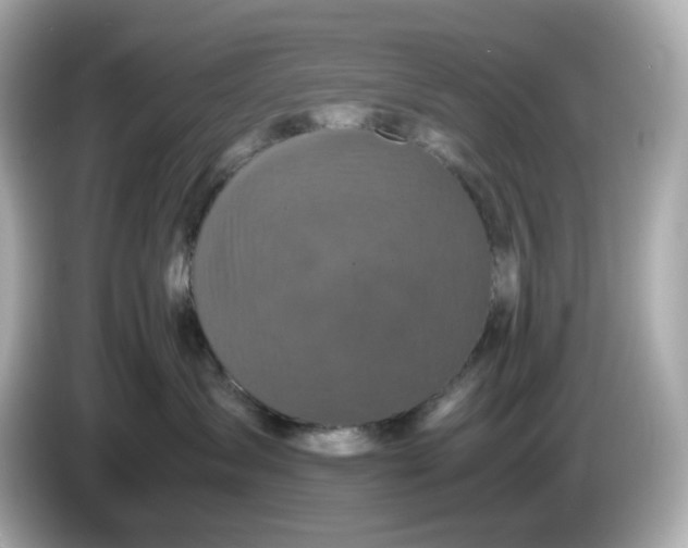 X0000086010431200704091059
