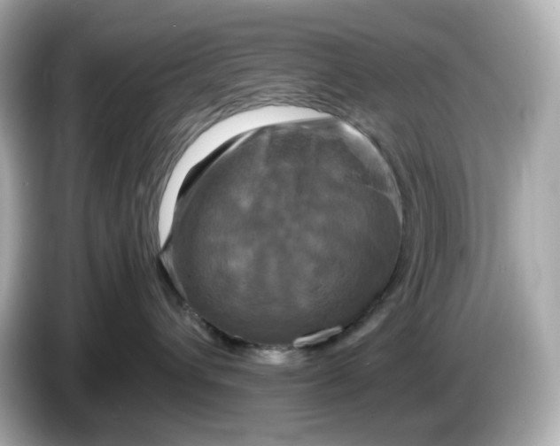 X0000086010432200704091059